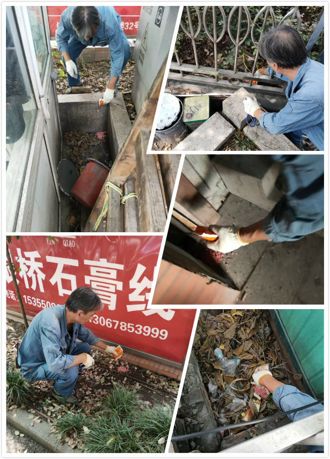 天游ty8市场开展冬季灭鼠