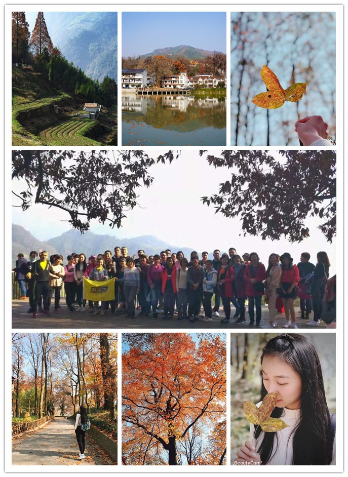 天游ty8电子生意市场组织“指南村赏秋”活动