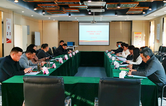 庐阳区人大代表（海棠组）晤面会在庐阳天游ty8文创园顺遂举行