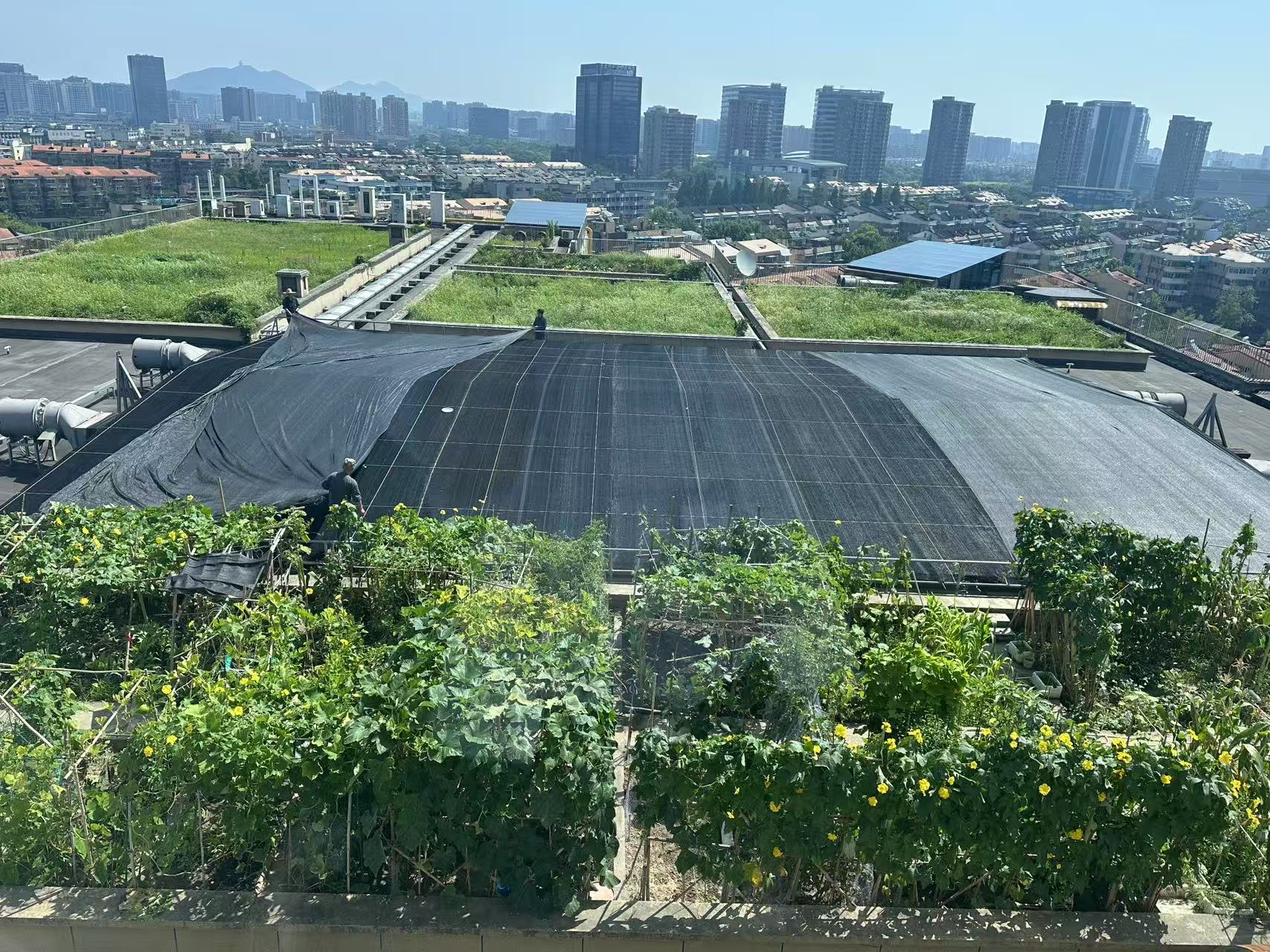 水晶城巧施”遮阳术“，，为节能降耗注入清凉动力
