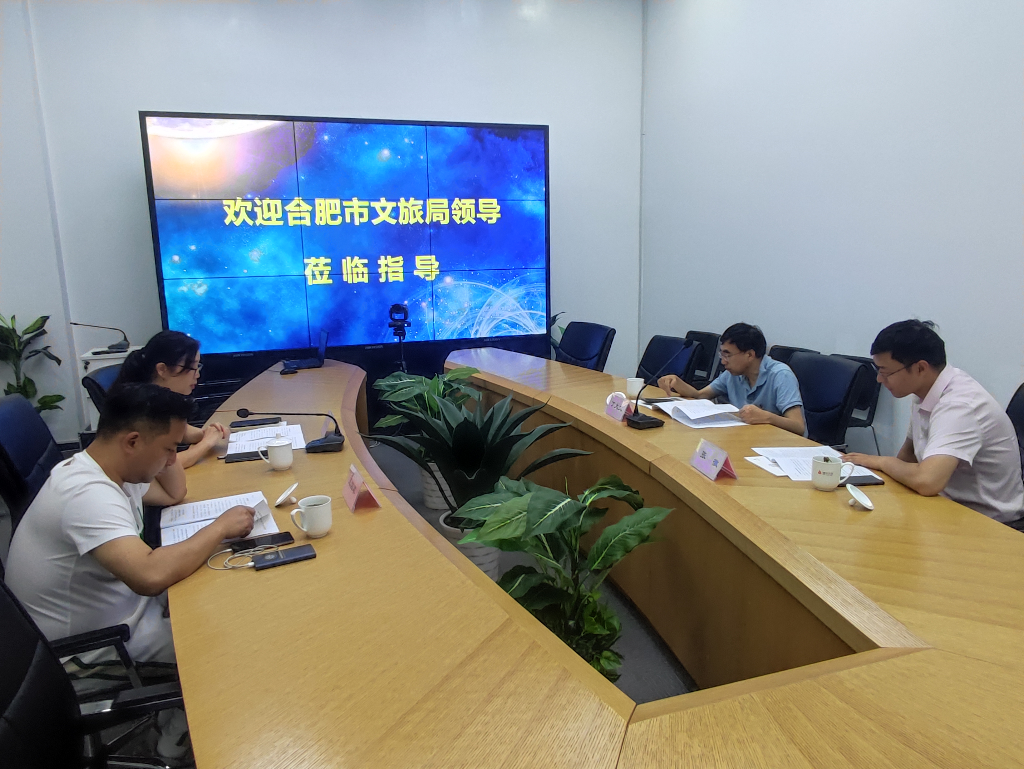合肥市文化旅游局丁大文处长一行莅临天游ty8文创集团调研