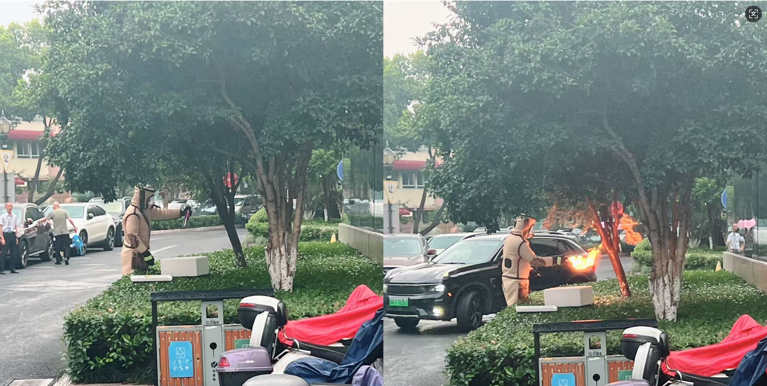 清静守护零距离，，，，水晶城快速处理外围蜂群隐患