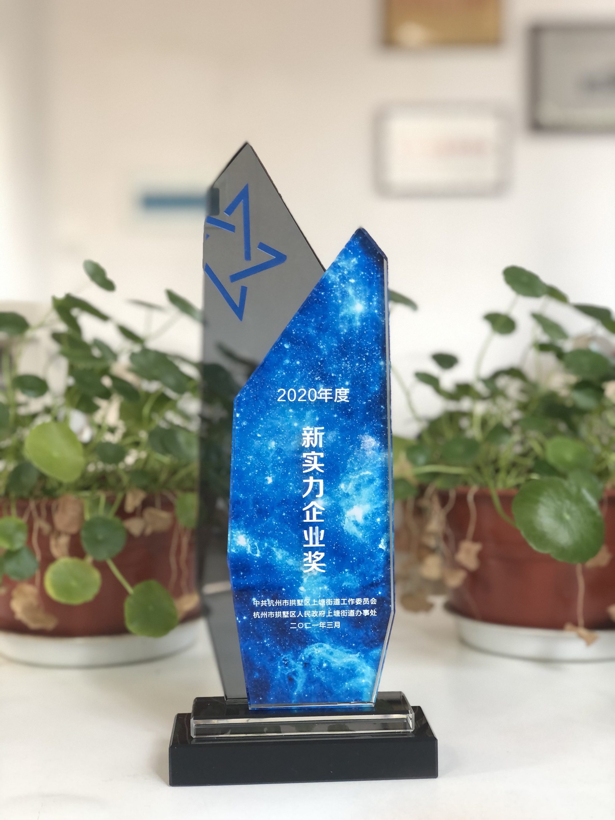 浙江天游ty8网络科技有限公司荣获“新实力企业奖”